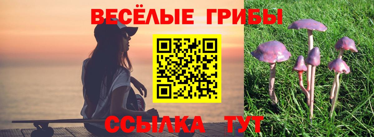 Галлюциногенные грибы Cubensis  Вход с VPN  Сунжа  Галлюциногенные грибы ЛСД 